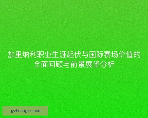 加里纳利职业生涯起伏与国际赛场价值的全面回顾与前景展望分析 加里纳利职业生涯起伏与国际赛场价值的全面回顾与前景展望分析